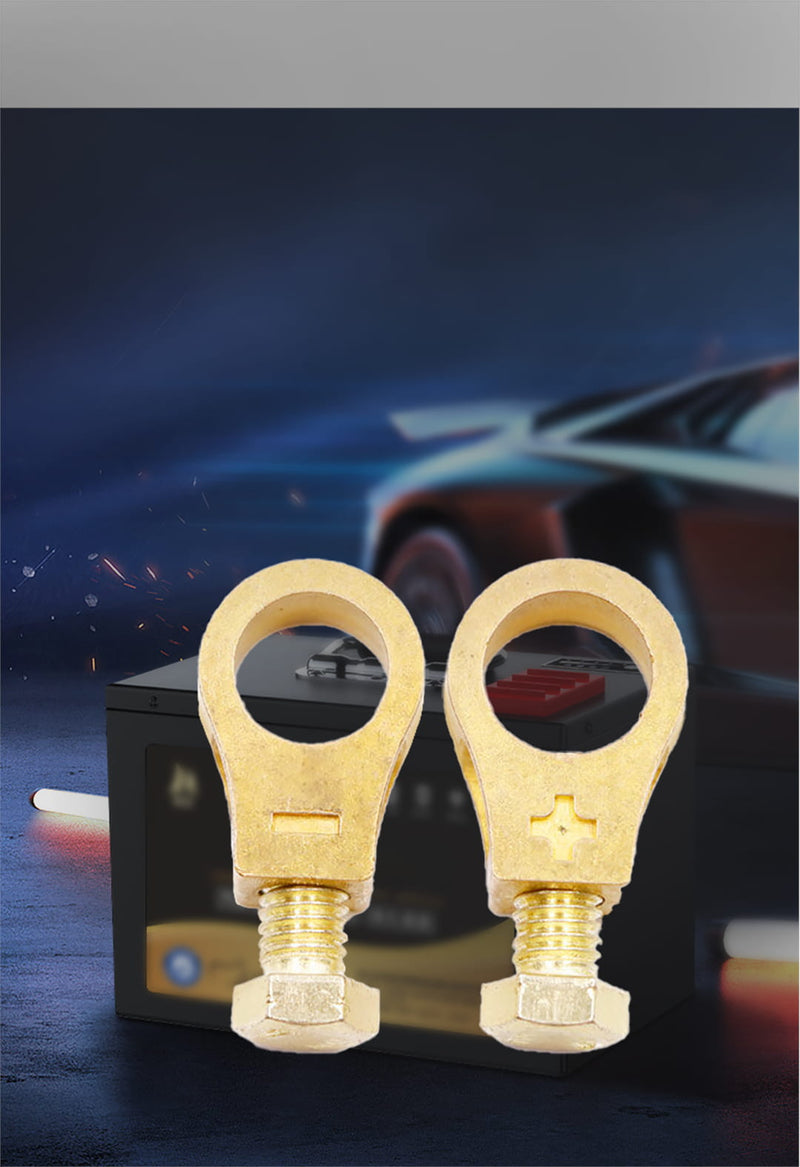 CLIP COBRE PURO + BRINDE ESPECIAL