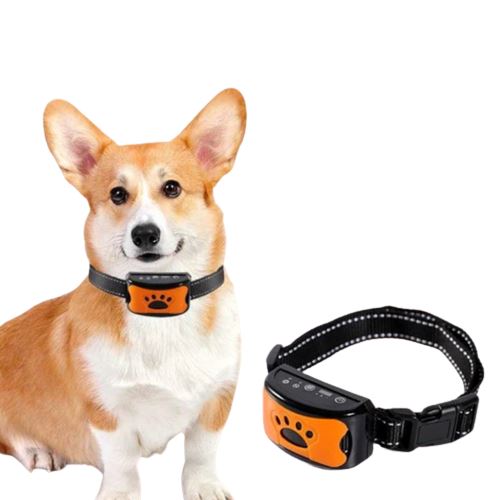 Coleira Antilatido Educativa Sem Choque - Silent Puppy