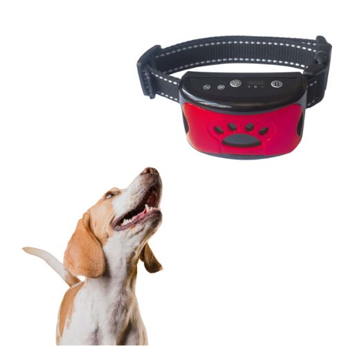 Coleira Antilatido Educativa Sem Choque - Silent Puppy