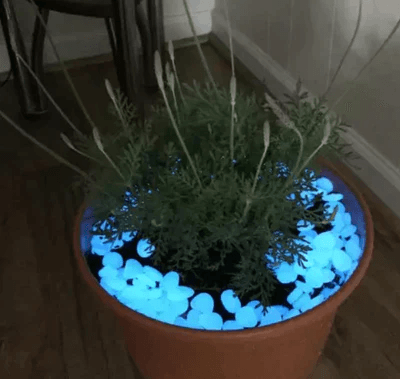 Pedras Mágicas para Jardim - BStocker™